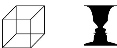 An image representing multistable perception. 